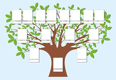 Qué es un árbol genealógico?