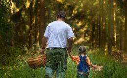 Setas, flores, frutas... ¿Qué puedo coger legalmente del campo?