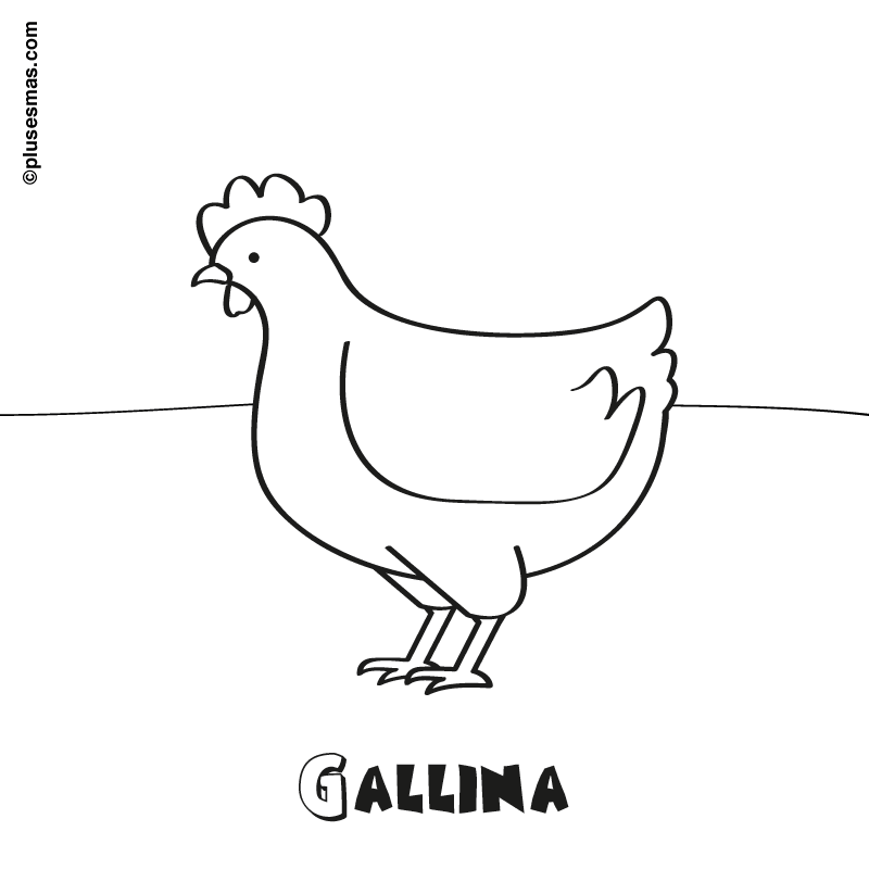 Colorear una gallina