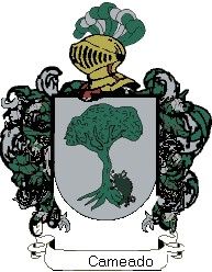 Escudo del apellido Cameado