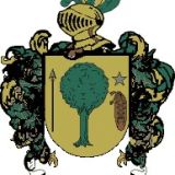 Escudo del apellido Casi