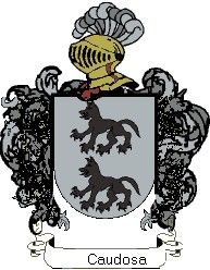 Escudo del apellido Caudosa