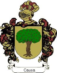 Escudo del apellido Causa