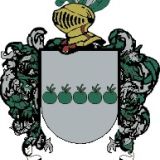 Escudo del apellido Chani