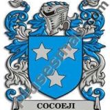 Escudo del apellido Cocoeji