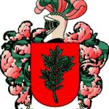 Escudo del apellido Costales