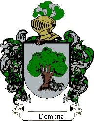 Escudo del apellido Dombriz