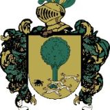 Escudo del apellido Goacona