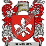 Escudo del apellido Gozdowa