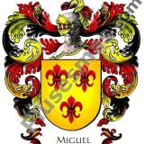 Escudo del apellido Miguel