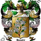 Escudo del apellido Bonacic