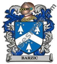 Escudo del apellido Barzic