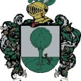 Escudo del apellido Bergoyo