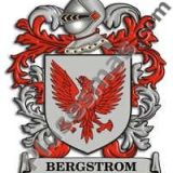 Escudo del apellido Bergstrom