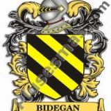 Escudo del apellido Bidegan