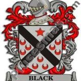 Escudo del apellido Black