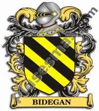 Escudo del apellido Bidegan