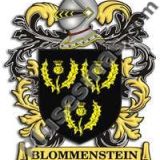 Escudo del apellido Blommenstein