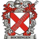 Escudo del apellido Bochingen