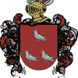 Escudo del apellido Bodín