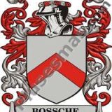 Escudo del apellido Bossche