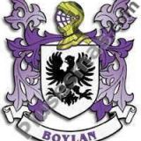 Escudo del apellido Boylan