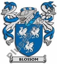 Escudo del apellido Blossom