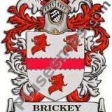 Escudo del apellido Brickey