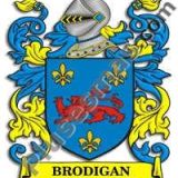 Escudo del apellido Brodigan