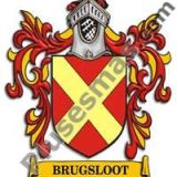 Escudo del apellido Brugsloot