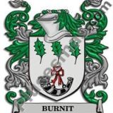 Escudo del apellido Burnit