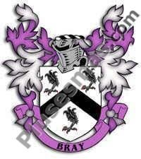 Escudo del apellido Bray