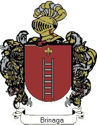 Escudo del apellido Brinaga