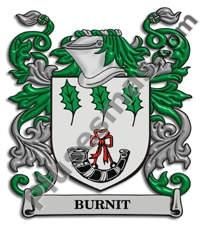 Escudo del apellido Burnit